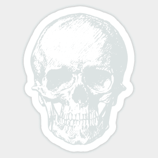 Off-Grey Skull Sticker